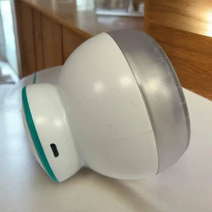 Rechargeable Lint Remover best model